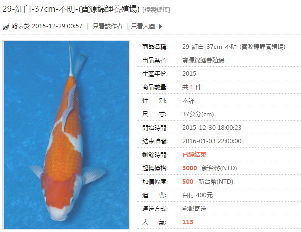 29-紅白-37cm-不明-(寶源錦鯉養殖場).png