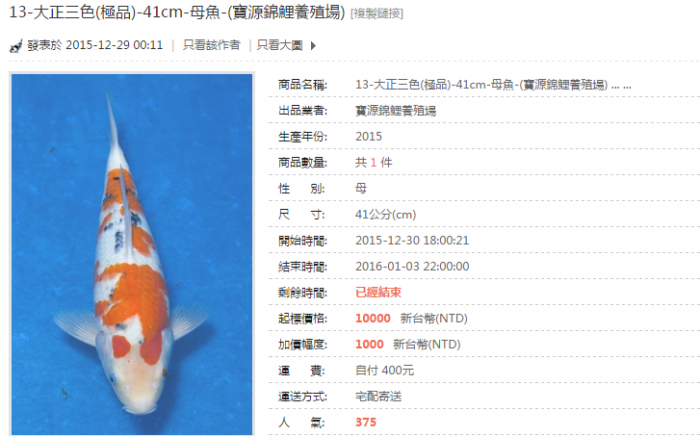 13-大正三色(極品)-41cm-母魚-(寶源錦鯉養殖場).png