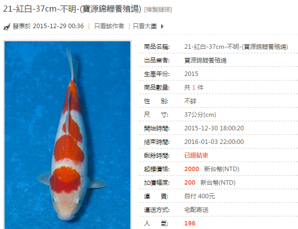 21-紅白-37cm-不明-(寶源錦鯉養殖場).png