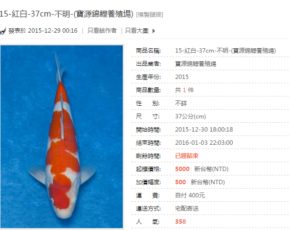 15-紅白-37cm-不明-(寶源錦鯉養殖場).png