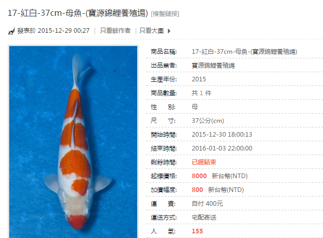 17-紅白-37cm-母魚-(寶源錦鯉養殖場).png