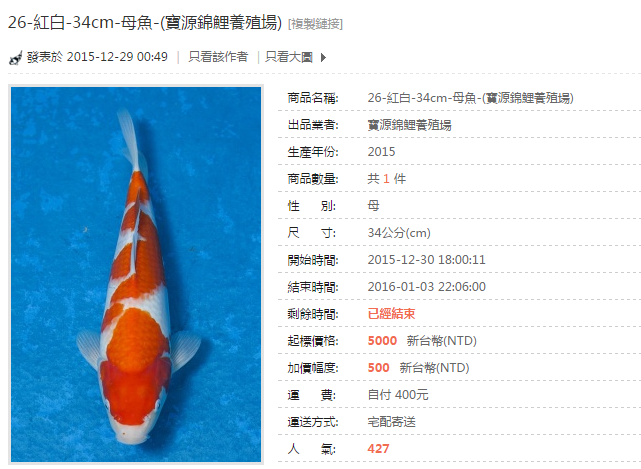 26-紅白-34cm-母魚-(寶源錦鯉養殖場).png