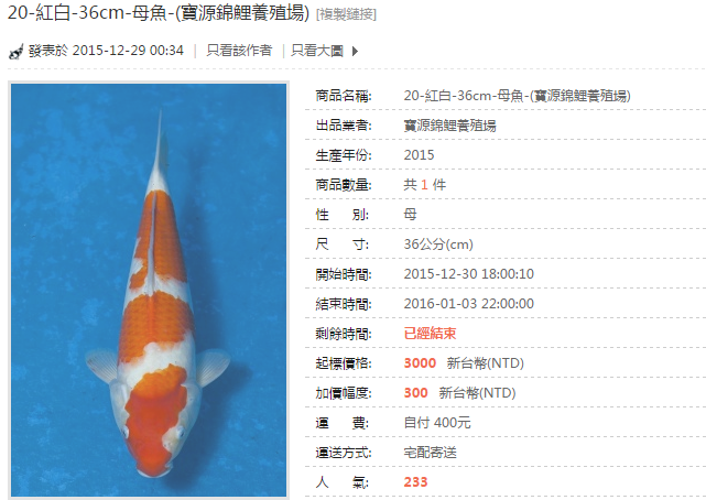 20-紅白-36cm-母魚-(寶源錦鯉養殖場).png