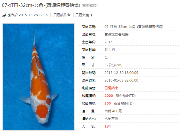 07-紅白-32cm-公魚-(寶源錦鯉養殖場).png