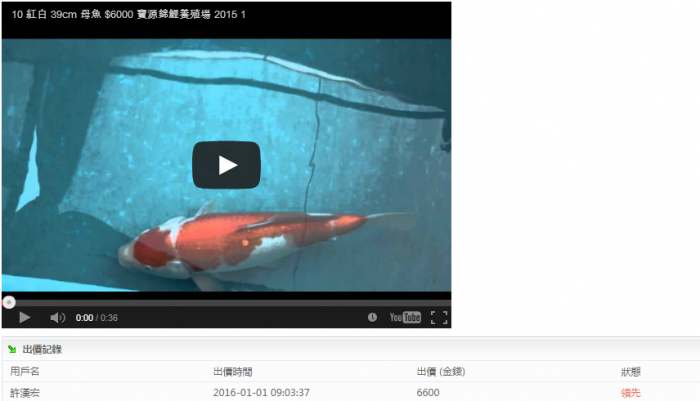 10-紅白-39cm-母魚-(寶源錦鯉養殖場)2.png