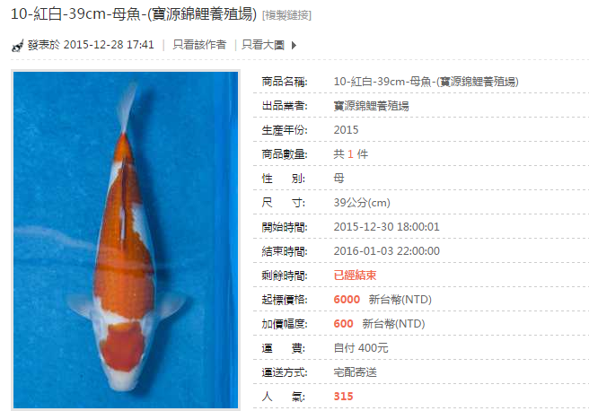 10-紅白-39cm-母魚-(寶源錦鯉養殖場).png